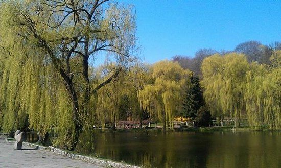 Piesze wycieczki